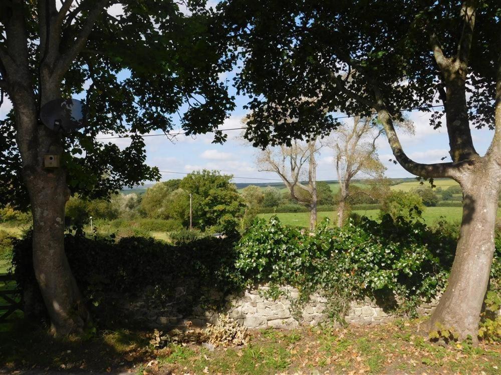 Follis Cottage Weymouth Dış mekan fotoğraf